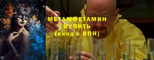 хмурый Дубна