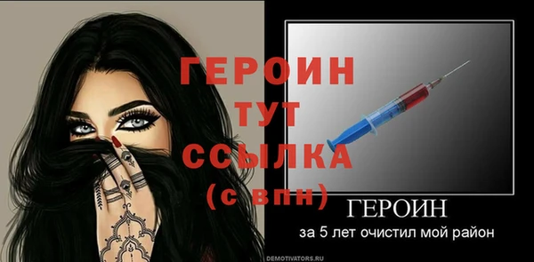 хмурый Дубна