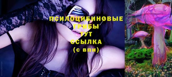 твердый Саяногорск