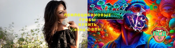твердый Саяногорск