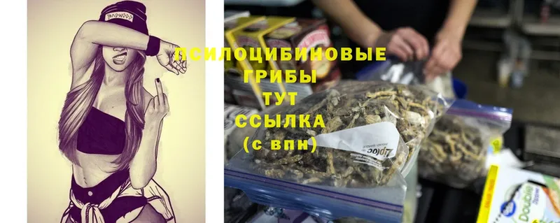 ссылка на мегу сайт  Камышин  Галлюциногенные грибы Magic Shrooms  где найти наркотики 