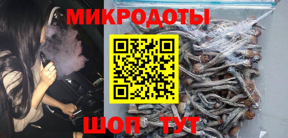 где найти наркотики  Камышин  Псилоцибиновые грибы MAGIC MUSHROOMS 