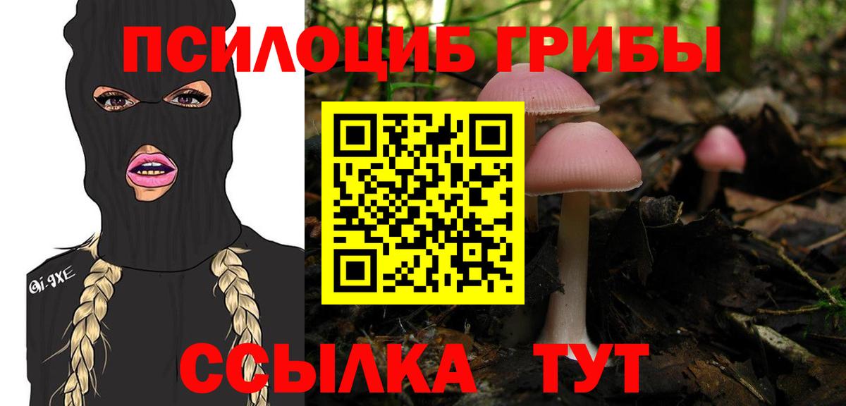 Псилоцибиновые грибы мухоморы Камышин