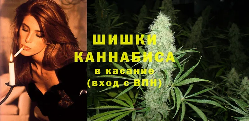 что такое   Камышин  Бошки марихуана Bruce Banner 