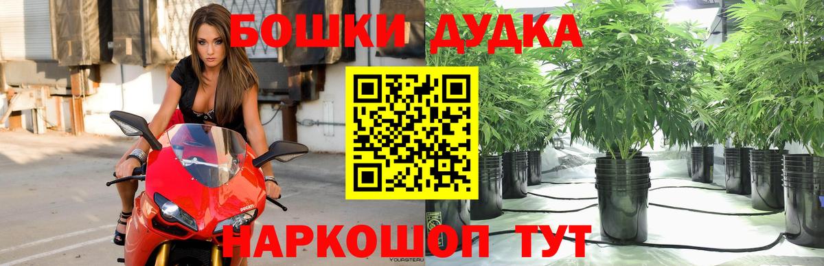 МАРИХУАНА конопля  Конопля VHQ  Камышин  Бошки Шишки OG Kush 