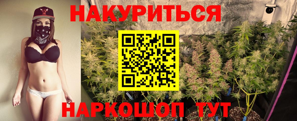 Бошки Шишки сатива Камышин